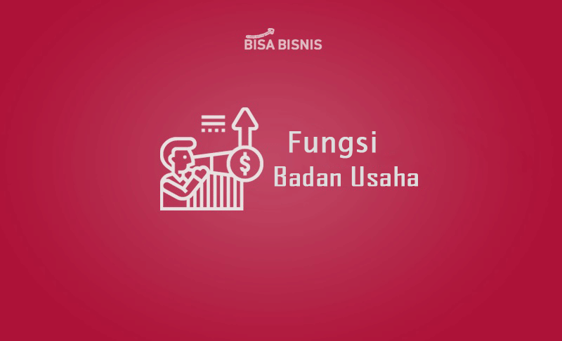 Fungsi Badan Usaha