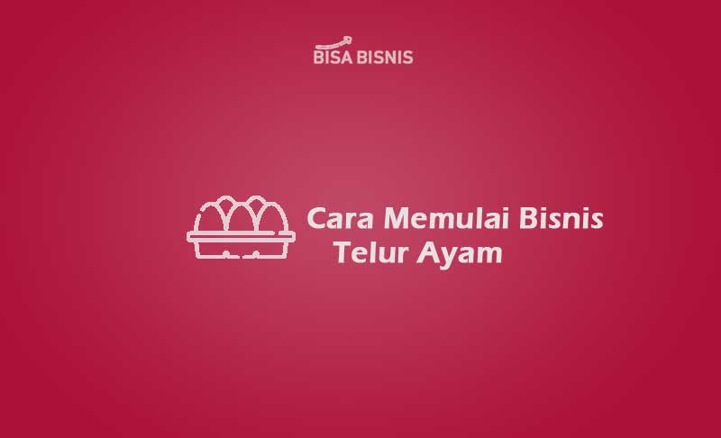 Cara Memulai Bisnis Telur Ayam