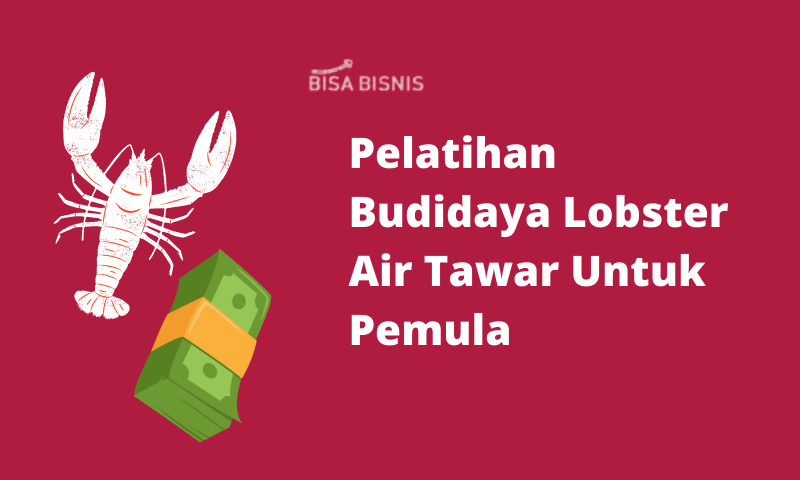 Pelatihan Budidaya Lobster Air Tawar Untuk Pemula