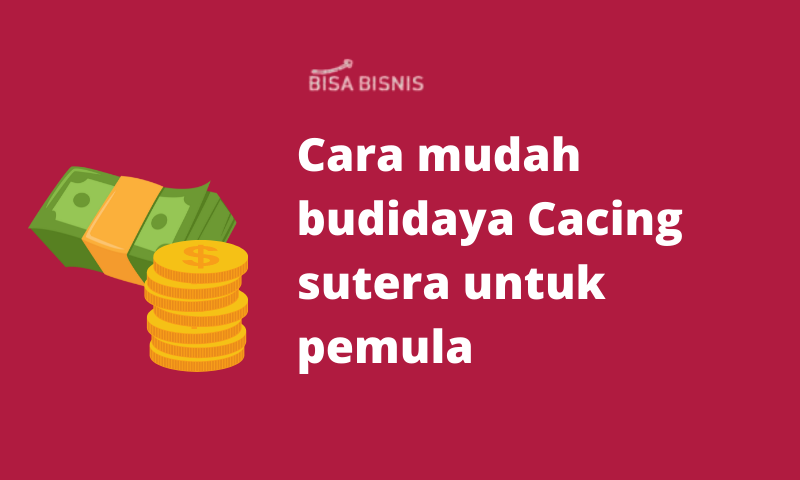 Cara mudah budidaya Cacing sutera untuk pemula